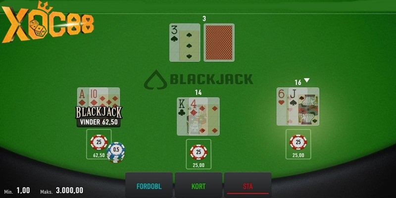 Blackjack là sự đối đầu giữa nhà cái và người chơi