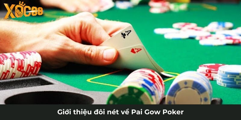 Giới thiệu đôi nét về Pai Gow Poker