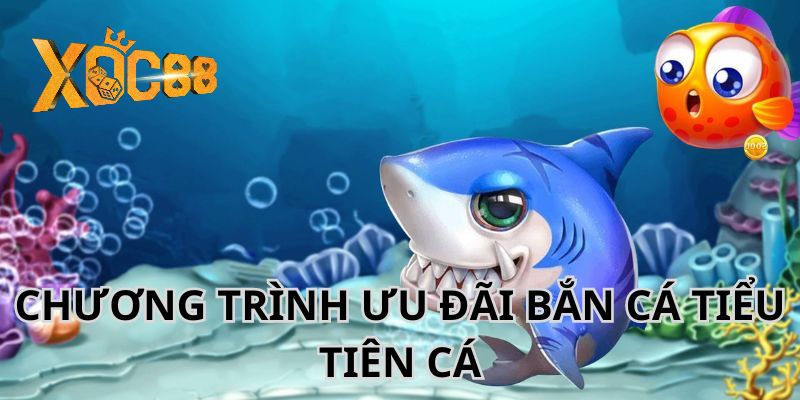 Chương trình khuyến mãi mang đến giá trị lớn