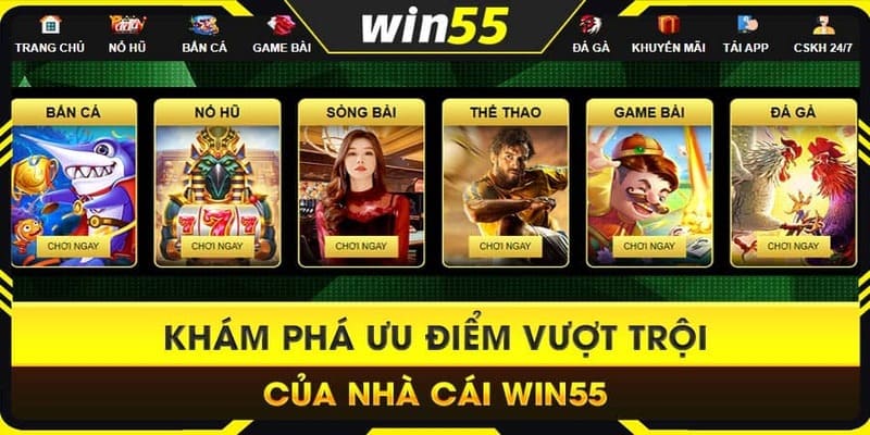 Giới thiệu tổng quan về hệ thống nhà cái WIN55