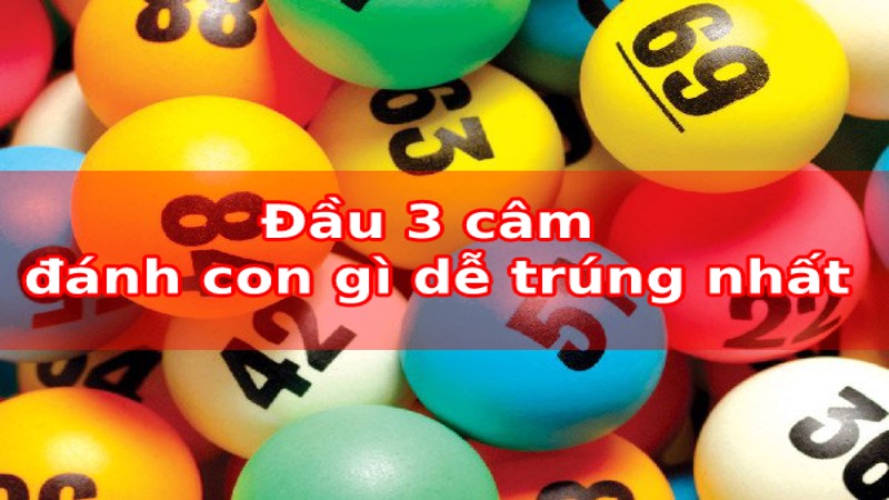 Đầu đít câm đánh lô gì hiệu quả - Cách áp dụng đầu câm